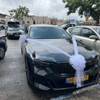 קישוט רכב אלגנטי