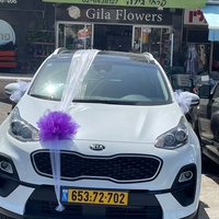 קישוט רכב לבן סגול