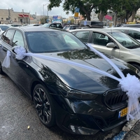קישוט רכב אלגנטי