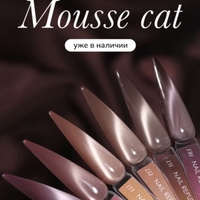 NR 130 mousse cat