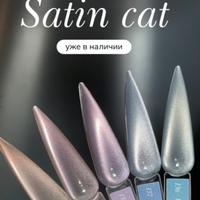 Satin cat 139