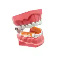 AIRWAAV PX2 Performance Mouthpiece מנשך פה לשיפור ביצועים AIRWAAV PX2