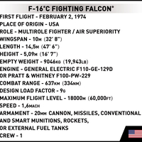 F-16 C פאלקון אמריקאי