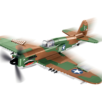 קורטיס P-40E נץ מלחמה