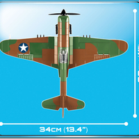 קורטיס P-40E נץ מלחמה