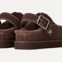 Goldenstar evelina - burnt cedar