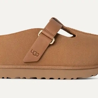 גולדנסטאר היי קלוג חום