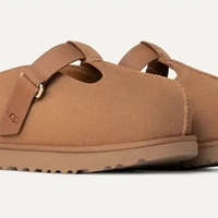 גולדנסטאר היי קלוג חום