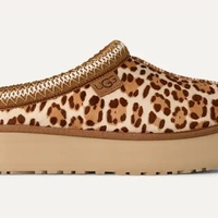 טאז פליין מנומר