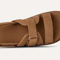 גולדנסטאר גלאם - צ׳סנאט