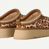 טאז פליין מנומר