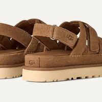 גולדנסטאר גלאם - צ׳סנאט