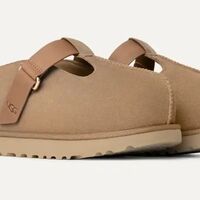 גולדנסטאר היי קלוג סנד