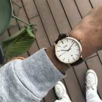 40  CW0101501002  Aravis Leather Brown, Rose Gold Colour