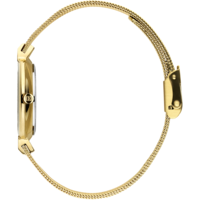 IV05Q1195 Fur Gold