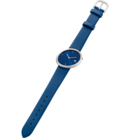 Ellipse Blue  IV22Q1284