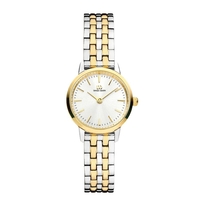 Akilia Mini Link Two-Tone Gold  IV95Q1268
