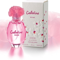 cabotine rose