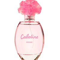 cabotine rose