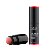 STICK BLUSH