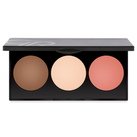 golden rose metal sculpting palette