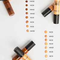 mac pro longwear concealer