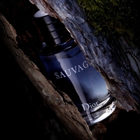 sauvage- eau de toilette 100