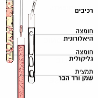 אמבט חפיפה גלוס אבסולו ללא סולפטים Crème Hydra-Glaze