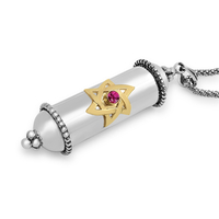 Sterling Silver Amulet Mezuzah Pendant Gold Star of David with Ruby