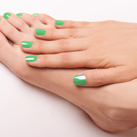 Gel Color. Catch the Northern Lights (P387)