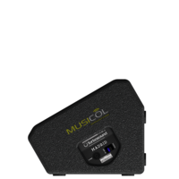 מוניטור BI-AMP עוצמתי 