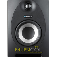 מוניטור אולפני TANNOY REVEAL 402