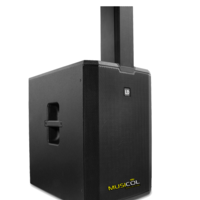 מערכת קולונה מוגברת LD-SYSTEMS LDMAUI44G2