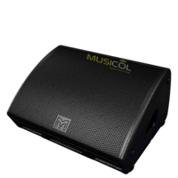 רמקול קוקסיאלי BI-AMP מדהים MATRIN AUDIO XE500