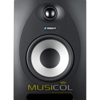 מוניטור אולפני TANNOY REVEAL 502