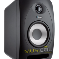מוניטור אולפני TANNOY REVEAL 502