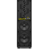 רמקול קולונה מוגבר TURBOSOUND IP300