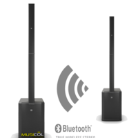 מערכת קולונה מוגברת LD-SYSTEMS LDMAUI44G2