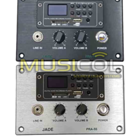 מגבר קיר עם נגן  JADE PRA-55