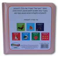 ספר הגוף שלי