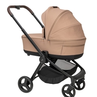 בייסיק 2025 - מוקה