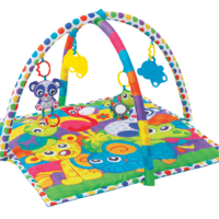 אוניברסיטה playgro