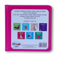 ספר המספרים