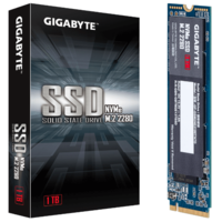 דיסק פנימי Gigabyte 256GB m.2 NVME 1.3 pcie X4