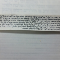 תפילין בהמה גסה דגם תפארת מהודרים  אא רמת גימור מיוחדת- צביעה יחודית, רבוע רגל מכוונות, עור אמריקאי משובח, בתי התפילין פרודים ,רצועות שחורות 2 צדדים עבודת יד ,פרשיות מהודרות.