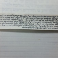 תפילין בהמה גסה מהודרים רבוע רגל - מכוונים רמת גימור גבוהה ,  רצועות שחורות 2 צדדים ,פרשיות מהודרות
