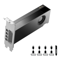 כרטיס מסך NVIDIA RTX 2000 Ada Generation 16GB 4XMiniDP