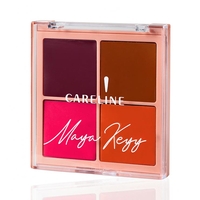 Face Glow Blush  פלטת סמקים בקרם
