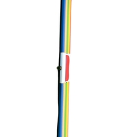 מזוודה מהודרת regiis למקל 3/4