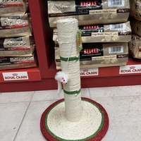 מתקן גירוד לחתול בינוני
